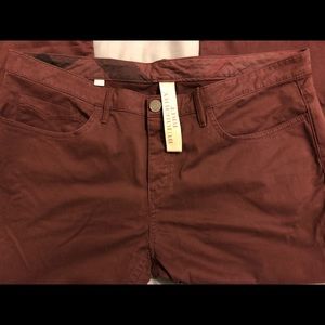 Burberry pants